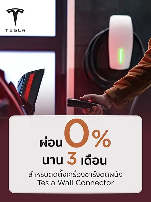 Tesla Wall Connector